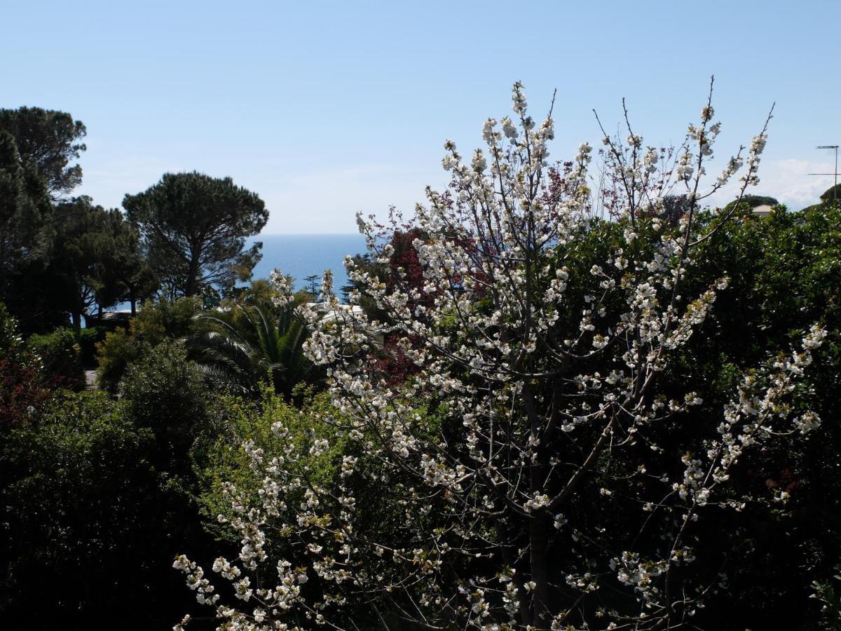B&B Verde Sul Mare Arenzano Zewnętrze zdjęcie